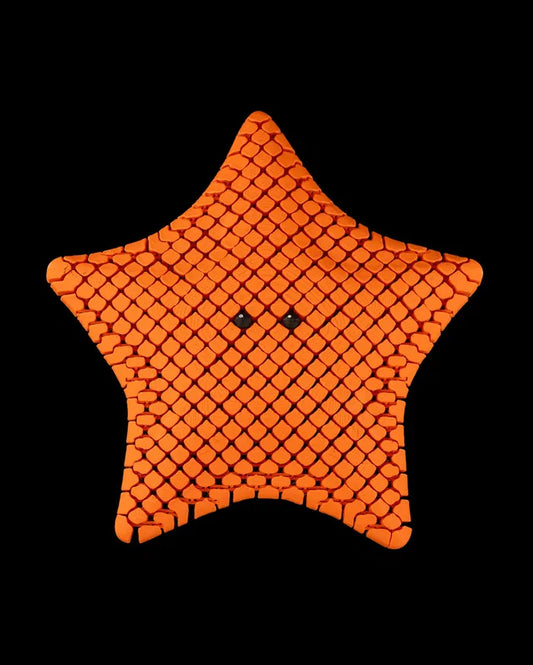 Articulated Sea Starfish