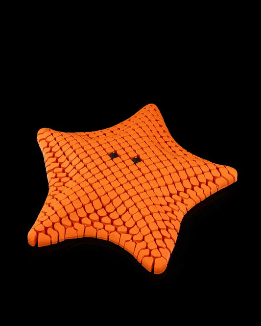 Articulated Sea Starfish